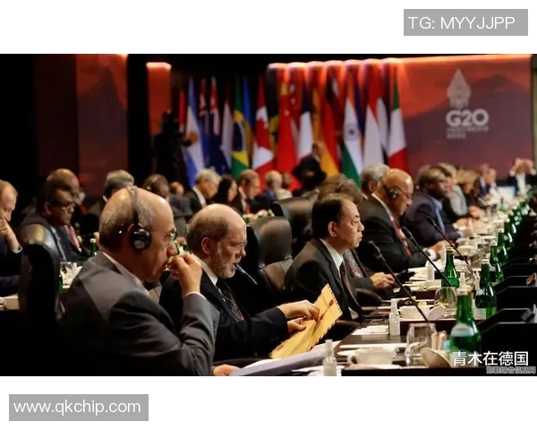 赖斯的外交策略与全球影响力分析及其对未来国际关系的启示